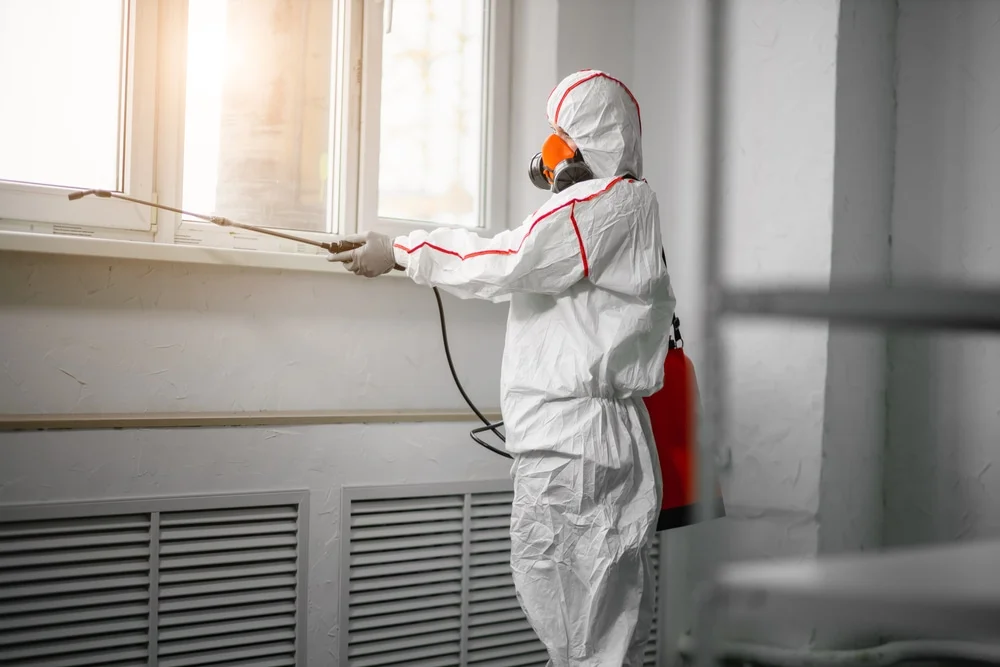 Professional mold remediation services in Clementon, NJ